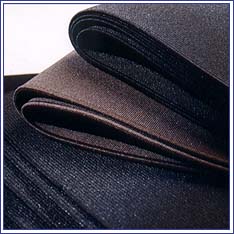 Seal boot and shoe elastic