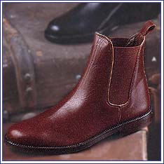 Seal boot and shoe elastic